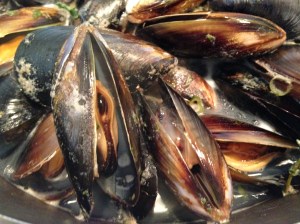 Cooked mussels