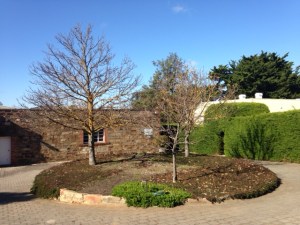 Cellar door at Henschke