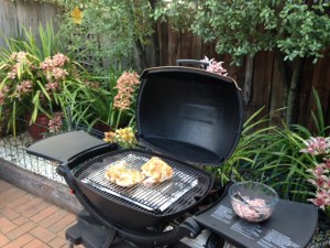 Ready to light up the Weber; some of our beautiful orchids in the background